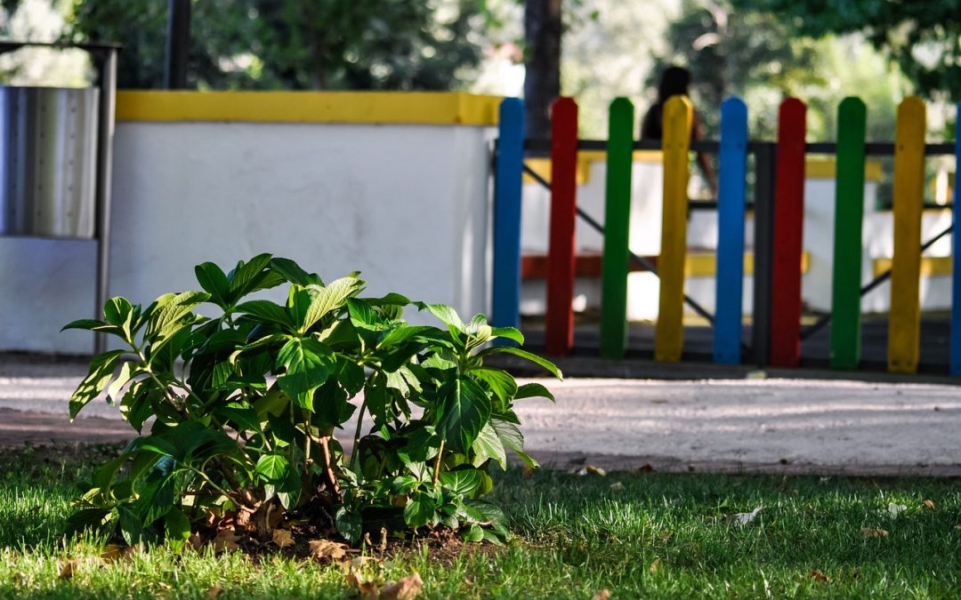 Het Belang van een Goed Ingericht Schoolplein: Ruimte voor Spel, Ontdekking en Samenwerking