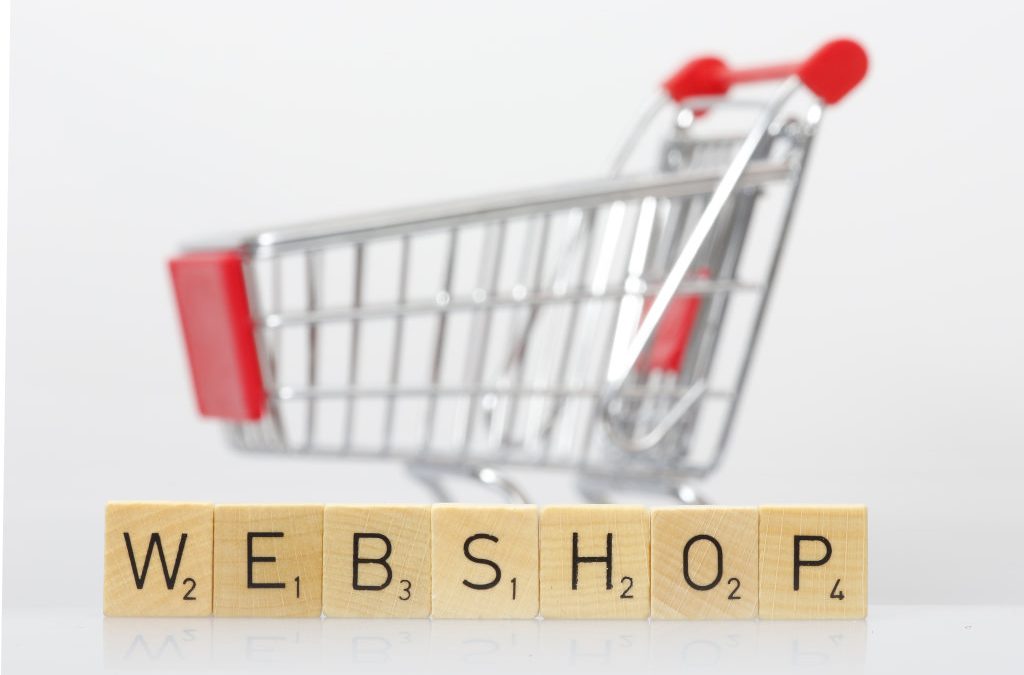 Webshopbouwer Friesland