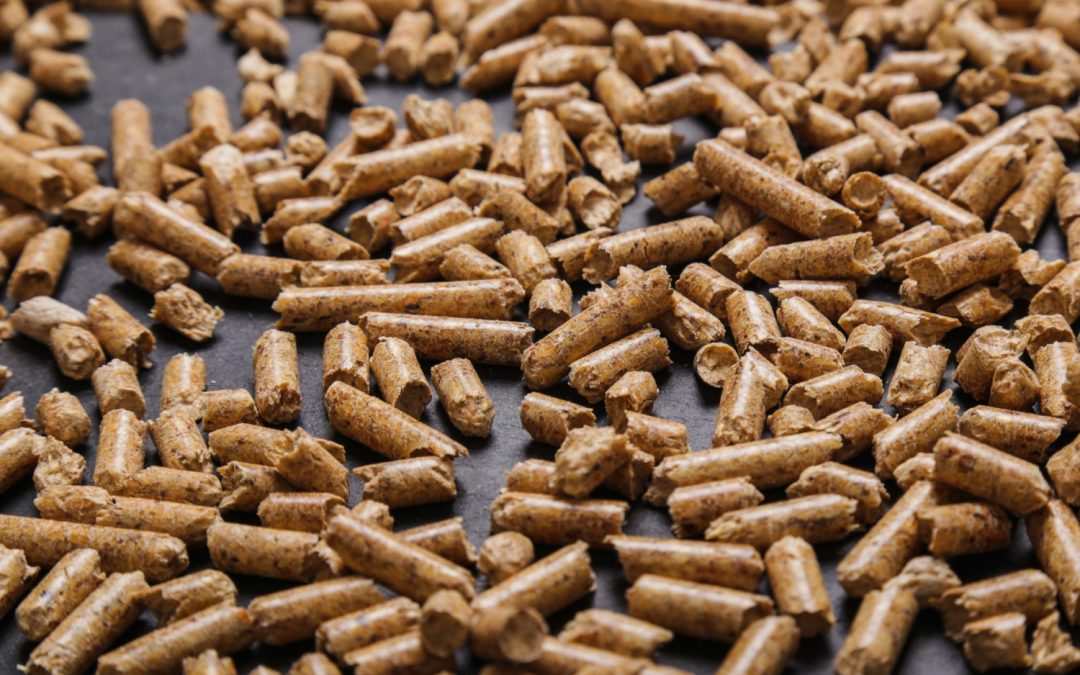 Een Diepgaande Kijk op Houtpellets: Voordelen en Aankooptips